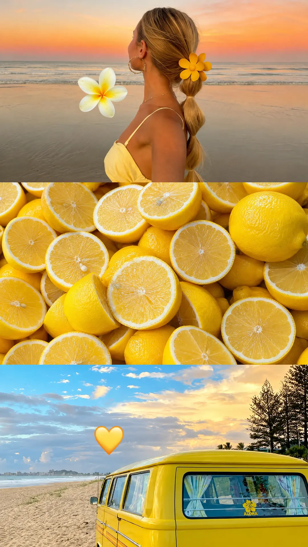 Template de Modelo 44